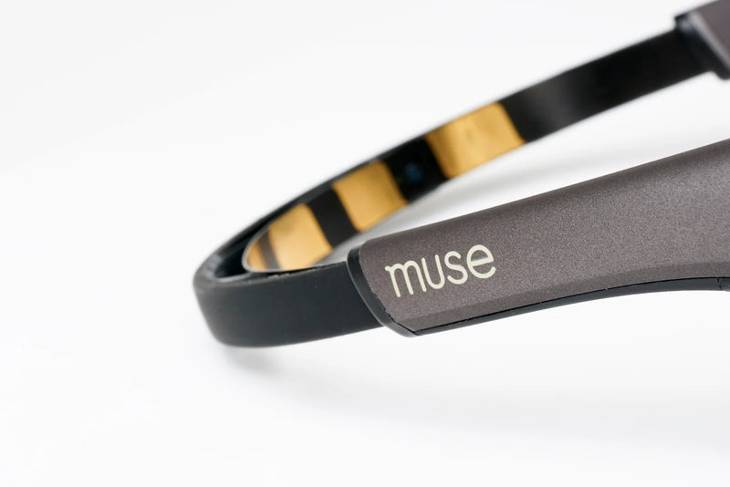 Load image into Gallery viewer, Muse 2
